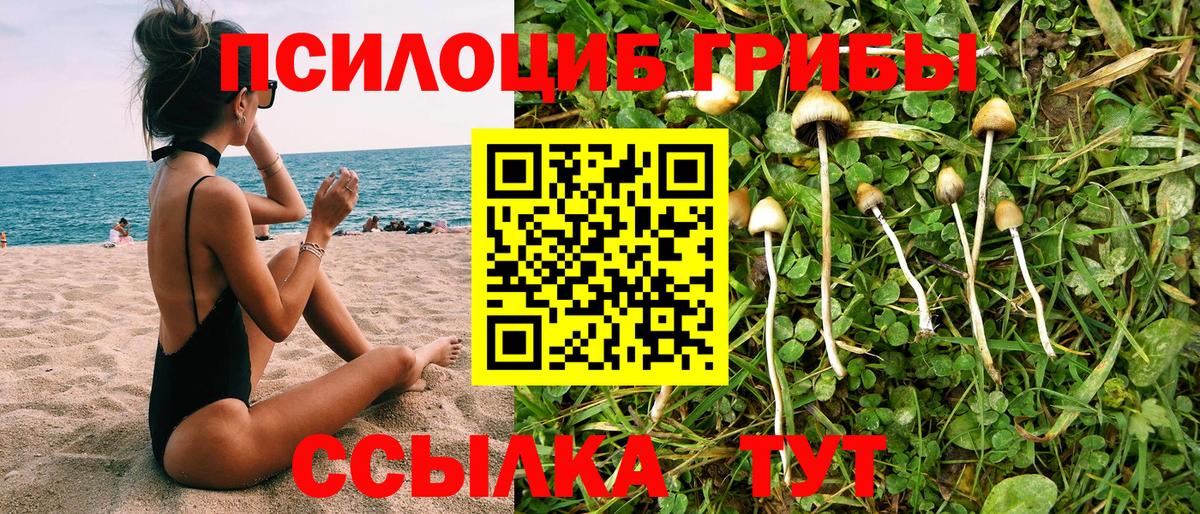 Псилоцибиновые грибы Magic Shrooms Лянтор